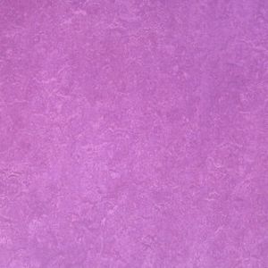 violett Boden 270